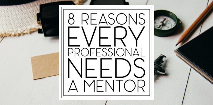8 Reasons Every Professional Needs a Mentor